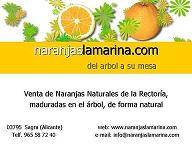 Venta de naranjas y limones Sagra , Espaa