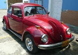 Vendo hermoso Escarabajo Medelln, Colombia