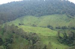 Excelente finca  para ganado manizales, Colombia
