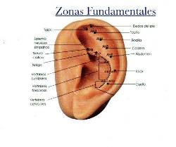  AURICULOTERAPIA: Caja 100 balines + dieta + lamina  BOGOTA, COLOMBIA