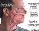 tos, asma, rinitis, sinusitis, bronquitis, alergia Bogot, Colombia