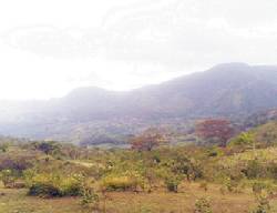 SALE OF LAND NEAR ALTOS DEL MARIA  PANAMA Panama, Panama