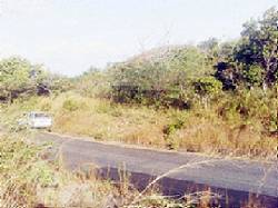 SE VENDE HERMOSO TERRENO DE 1000 MTS EN CHAME Panama, Panama