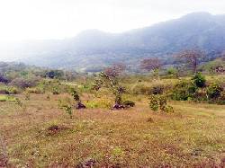 VENTA DE TERRENO CERCA DE ALTOS DEL MARIA - PANAMA Panama, Panama