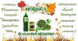 ADELGAZA Y CONOCE LAS PROPIEDADES DE LA MORINGA RECOMEN bogota, colombia