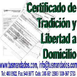 Certificado de Tradicin y Libertad bogota, colombia
