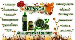 MORINGA PARA ADELGAZAR Y VERNOS SIEMPRE BIEN SIN ARRIES bogota, colombia