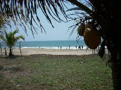 T-545 EXCELENTE TERRENO CON PLAYA jose azueta, mexico