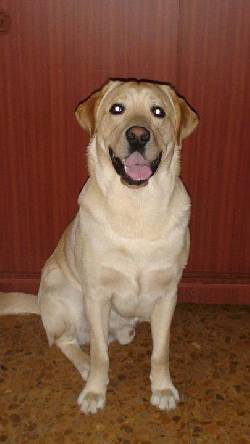 Busco Novia Bogot, Colombia