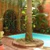 VACACIONES NAVIDEAS EN CARTAGENA CASA FERNANDEZ MADRID cartagena, Colombia