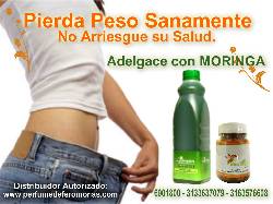 MORINGA PARA ADELGAZAR MILES DE BENEFICIOS EN UN SOLO P bogota, colombia