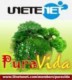 Unetenet, le brinda los conocimientos y herramientas... San Pedro De Alcantara, Espaa