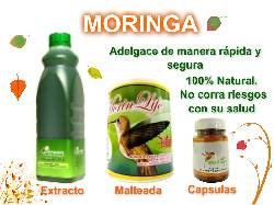 MORINGA PARA ADELGAZAR 1000  BENEFICIOS 1 PRODUCTO bogota, colombia