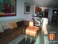 ALQUILERES DE APARTAMENTO EN CARTAGENA  cartagena, Colombia