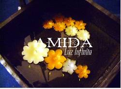 Velas Para Eventos Bogot, Colombia