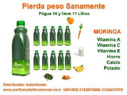 MORINGA PARA ADELGAZAR 10+1 (Paga 10 lts lleva 11)v bogota, colombia