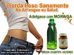 ADELGAZA YA Y DISFRUTA  LAS PROPIEDADES DE LA MORINGA bogota, colombia