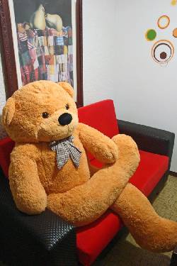  Oso Gigante de Peluche 160cm Teddy juguete oso amor Cali, Colombia
