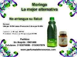 PROMOCION MORINGA: EXTRACTO O CPSULAS bogota, colombia