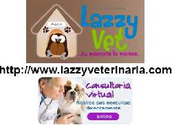 LazzyVeterinaria.com - Lazzy Vet Clnica Veterinaria Cu Cusco, Per