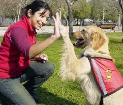 Secretos Estrategias y Tecnicas para educar a tu perro Trujillo, Peru