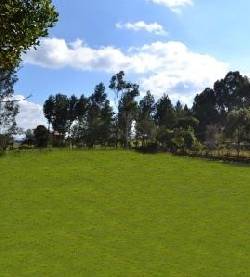 Lote campestre listo para construir subachoque, colombia