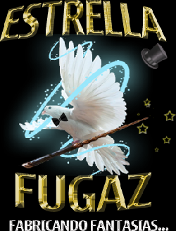 Estrella Fugaz Recreacin Infantil Bogot, Colombia