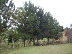 Se Venden Lotes Parcelacin Santa Martha  Cali, Colombia