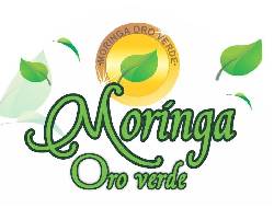 MORINGA COLOMBIA ORO VERDE MEDELLIN, Colombia