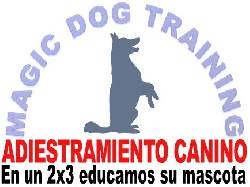 Adiestramiento Canino Bogota, Colombia
