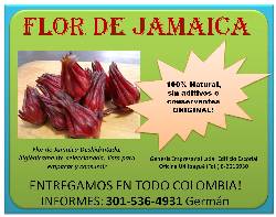 FLOR DE JAMAICA Ibague, Colombia
