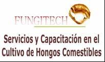 ASESORIAS HONGOS COMESTIBLES BOGOT, COLOMBIA