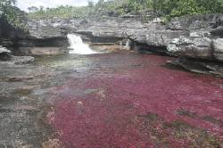CAO CRISTALES UN PARASO NATURAL  Bogota, Colombia