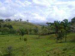 Vendo finca de 145 hect a $1,75 mt2 Chorrera Panama, Panama
