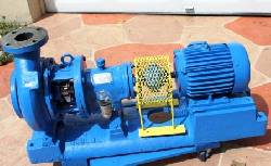 Bomba centrifuga Goulds 3196 MT 3x4-8 Acero Inoxidable Cali/Miami, Colombia/USA
