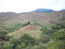 FINCA MIRANDA CAUCA $80000.000.oo  NEGOCIABLE Cali, Colombia