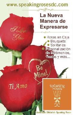 Rosas que hablan Bogot, Colombia
