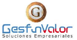 CONSULTORIA FINANCIERA, ORGANIZACIONAL Y WEB MARKETING Bogota, Colombia