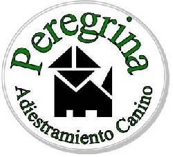 Adiestramiento Canino Peregrina Quertaro, Mxico