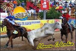 Tour  `promocion llanos orientales Bogot�, Colombia