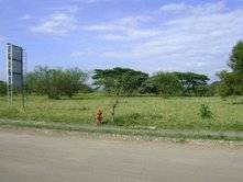 LOTE EN  PALMIRA  LOTE 5 ZONA SUR, CORREGIMIENTO D PALMIRA, Colombia
