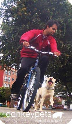 Paseador de Perros Bogot, Colombia