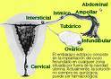 ANALISIS .ATRASO MENSTRUAL � 301 3212 lima, peru
