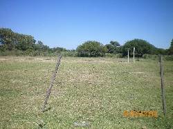 VENTA DE TRES Y MEDIAS HECTAREAS cordoba, argentina