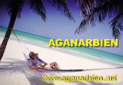 COASTAL VACATIONS NEGOCIO EXITOSO VIA INTERNET Madrid/Madrid, Espaa