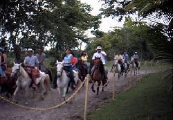 ZAFARI EN EL LLANO Bogota, Colombia