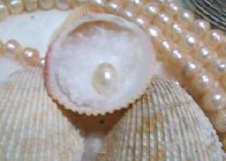 bisuteria fina perlas piedras y mucho mas  jua griego, venezuela 