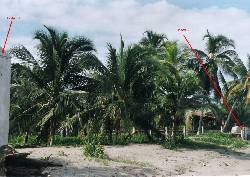  	VENTA DE LOTES EN TOL, FRENTE AL MAR!!!! Medelln, Colombia