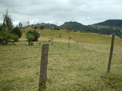 LOTE PARA URBANIZAR EN LA CALERA La Calera, Colombia
