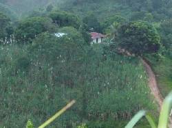 VENPERMUTO FINCA MARIQUITA mariquita, Colombia